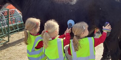 Reception's trip to Appleby Farm!