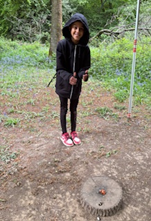 17