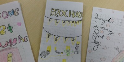 Year 3- Brochure writing