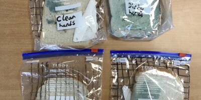 Year 6 Living animals Science unit